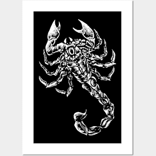 Scorpion Sting Posters and Art